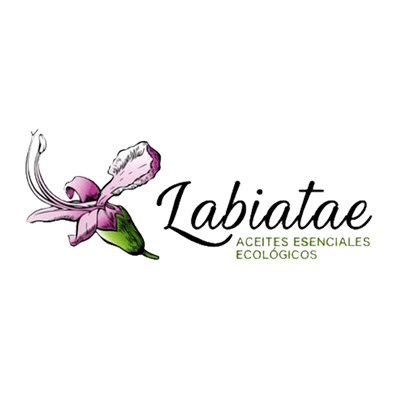 Labiatae