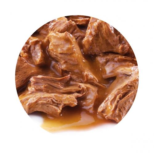 PRO PLAN Gato Kitten Pavo en Salsa 85 g