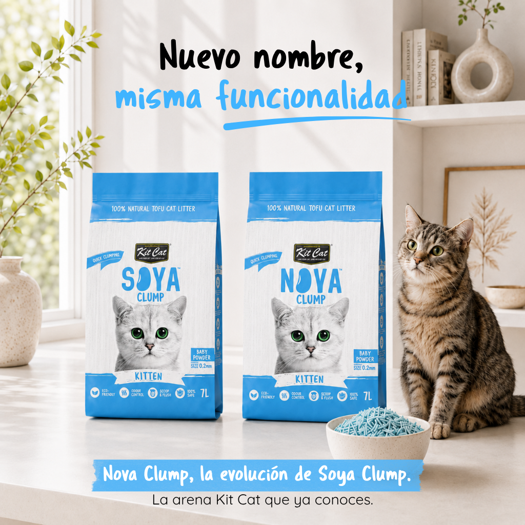 Zestaw Cat Arena Eco SoyaClump - Kitten Baby Powder 7 l Żwirek dla kotów