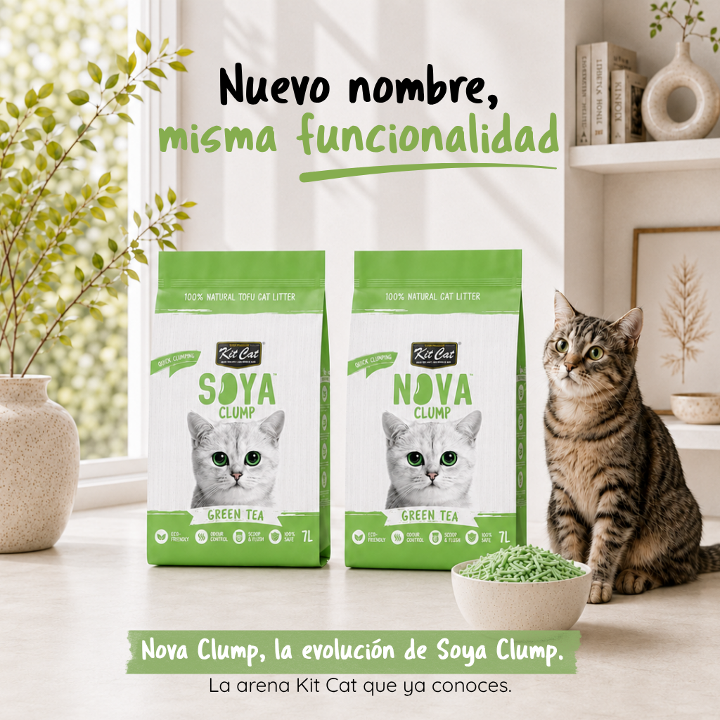 Zestaw Cat Arena Eco SoyaClump - Green Tea 7 l Żwirek dla kotów