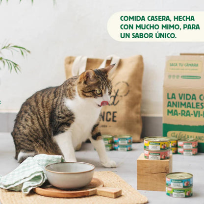 Pack 6x Ragut tradicional de ternera y pollo para gatos 6 x 80 g + Regalo: Tapa reutilizable para latas, Wild Balance