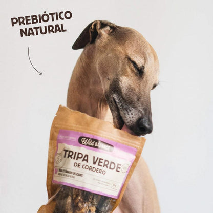 Pack salud bucal Wild Balance