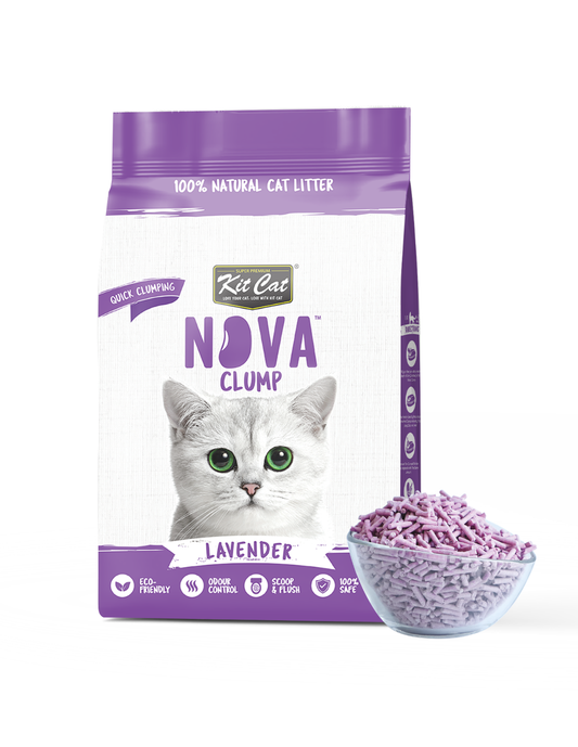 Zestaw Cat Arena Eco SoyaClump - Lavender 7 L Żwirek dla kotów