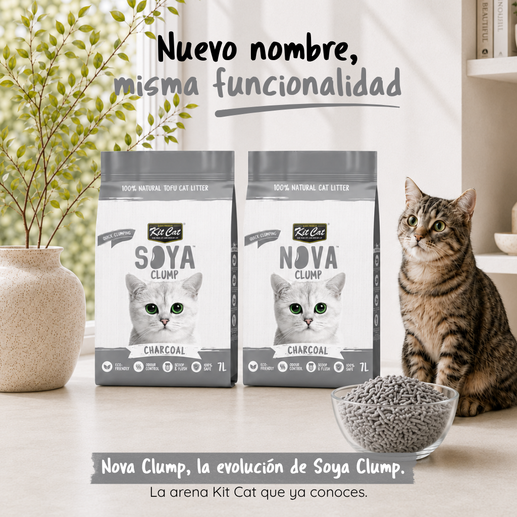 Zestaw Cat Arena Eco SoyaClump - Charcoal 7 l Żwirek dla kotów