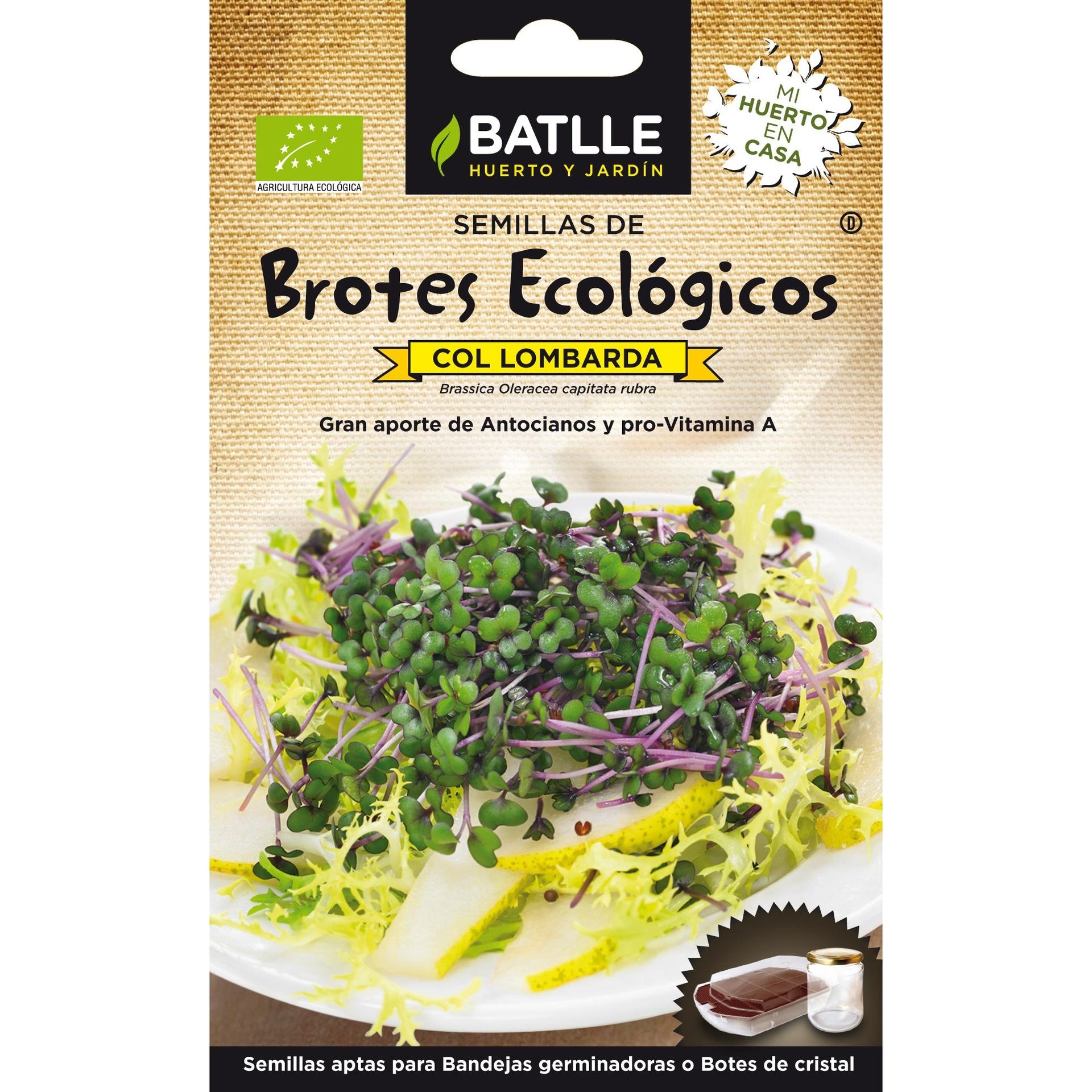 Semillas de Col Lombarda ecológicas para germinados Batlle
