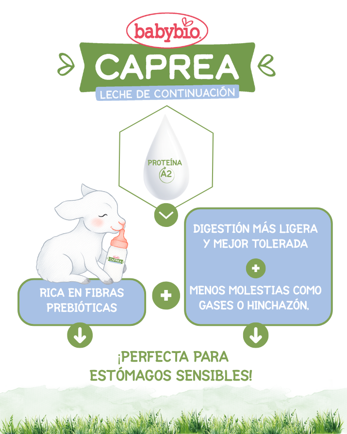 Pack 2x Leche de Cabra BIO Caprea 3 Babybio 800 g
