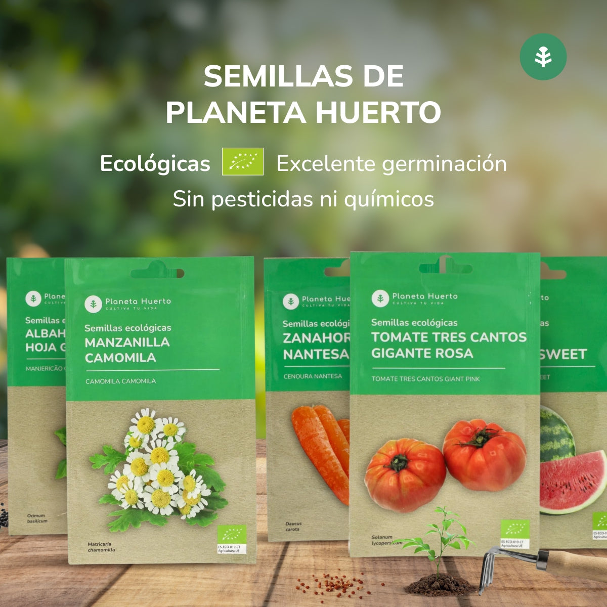 Semillas de Zanahoria Nantesa ecológicas Planeta Huerto