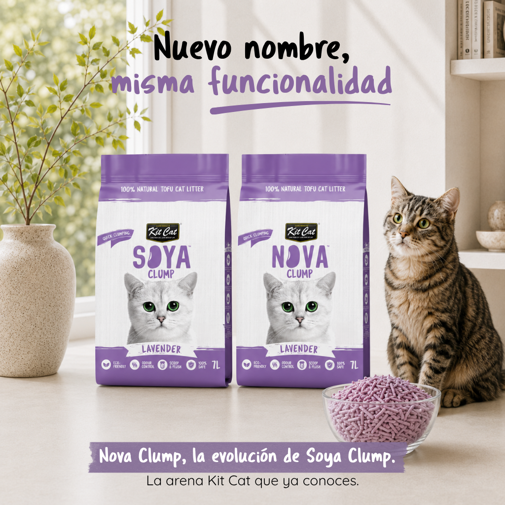 Zestaw Cat Arena Eco SoyaClump - Lavender 7 L Żwirek dla kotów
