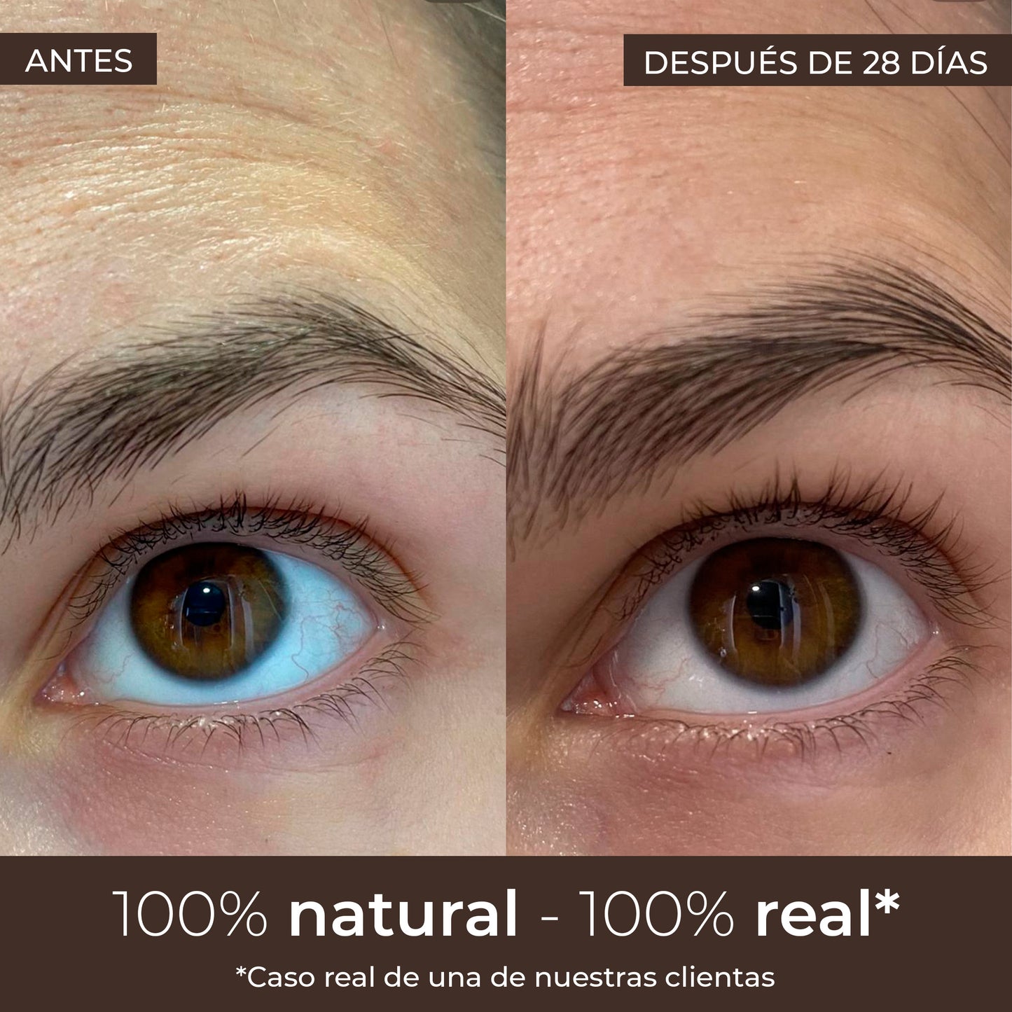 Serum Growth na porost rzęs, Arganour, 5 ml