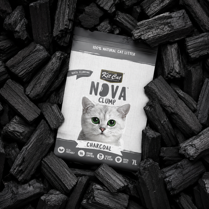 Zestaw Cat Arena Eco SoyaClump - Charcoal 7 l Żwirek dla kotów