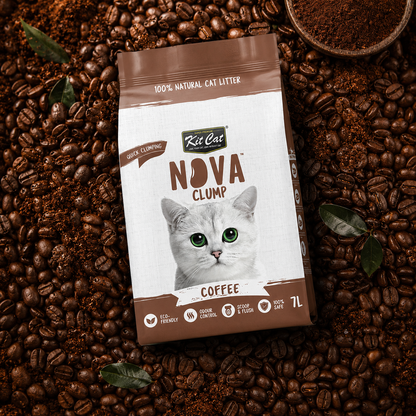Zestaw Cat Arena Eco SoyaClump - Coffee 7 l Żwirek dla kotów