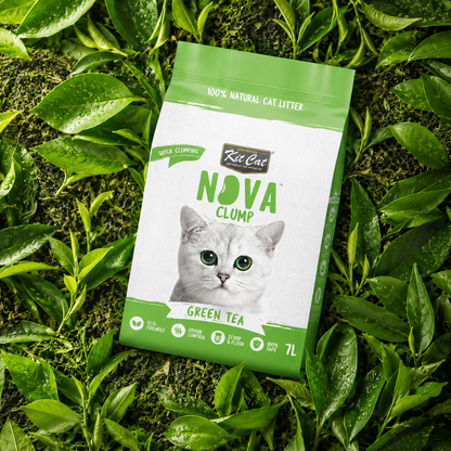 Zestaw Cat Arena Eco SoyaClump - Green Tea 7 l Żwirek dla kotów