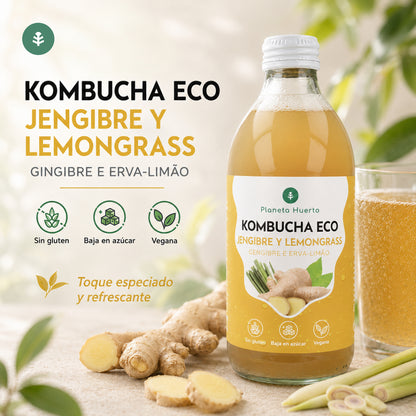 Kombucha ECO Imbir i trawa cytrynowa Planeta Huerto 330 ml