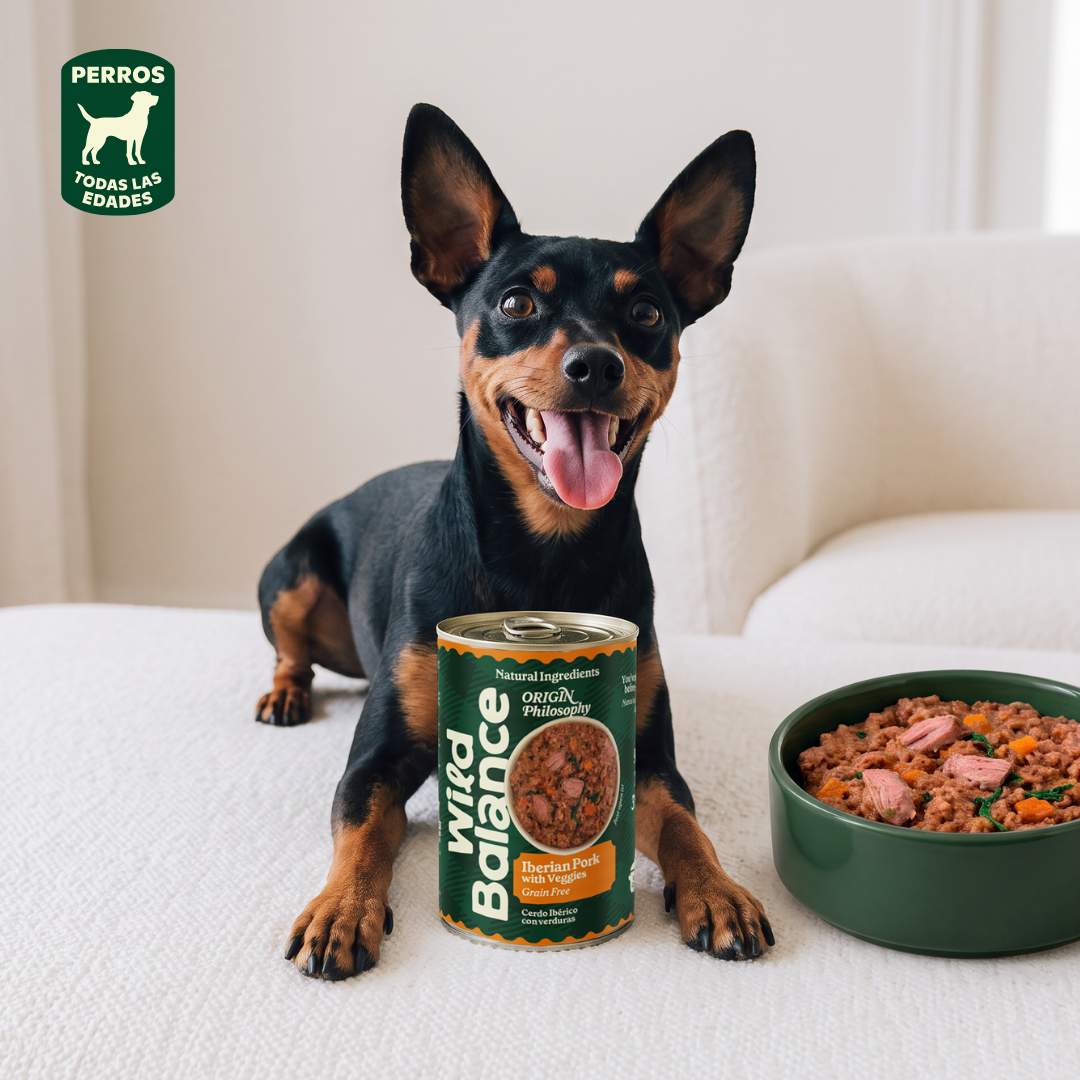 Puszka z wieprzowiną i warzywami BARF dla psów Wild Balance 400 g
