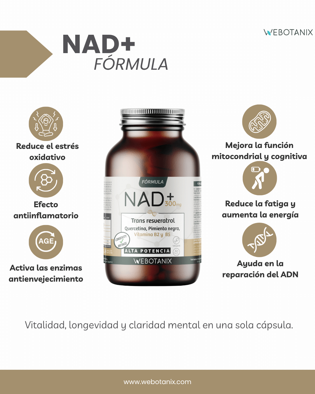 NAD+ 300 mg Trans Resweratrol WEBOTANIX 60 kapsułek