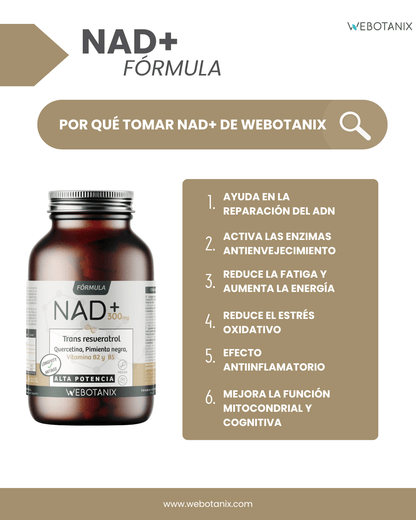 NAD+ 300 mg Trans Resweratrol WEBOTANIX 60 kapsułek