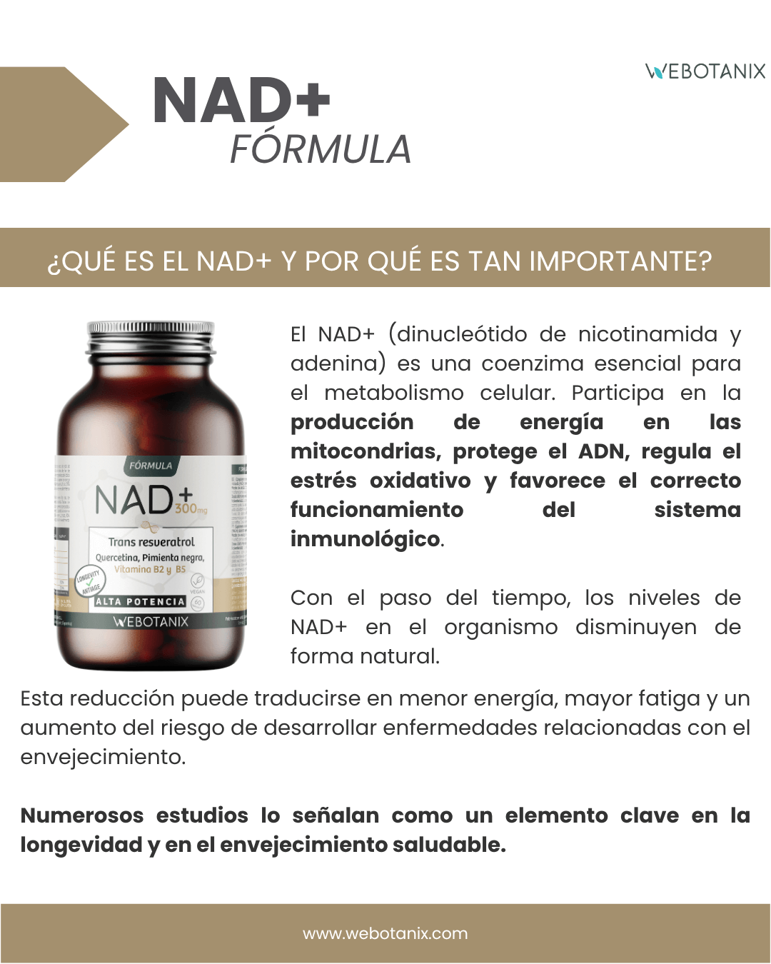 NAD+ 300 mg Trans Resweratrol WEBOTANIX 60 kapsułek