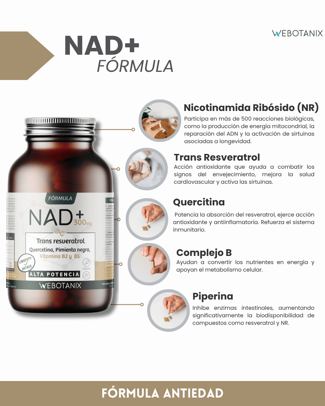 NAD+ 300 mg Trans Resweratrol WEBOTANIX 60 kapsułek