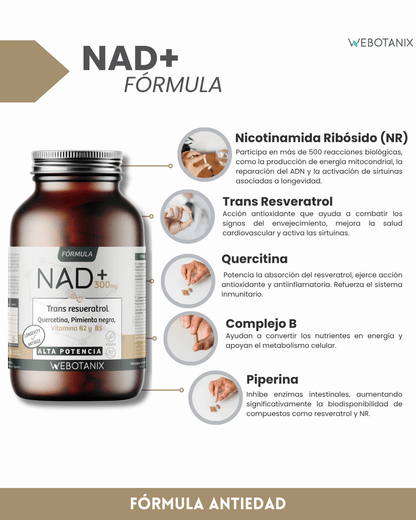 NAD+ 300 mg Trans Resweratrol WEBOTANIX 60 kapsułek