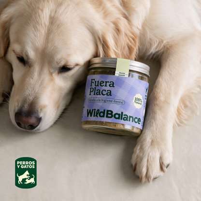 Fuera Placa Suplement dla zwierząt Wild Balance 100 g
