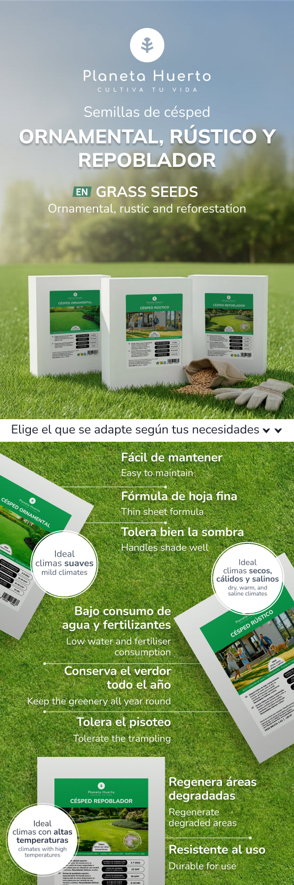Nasiona traw Planeta Huerto Rustic 1 kg