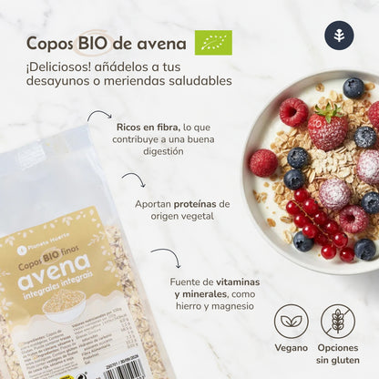 Copos de avena gruesos Sin Gluten ECO Planeta Huerto 500 g