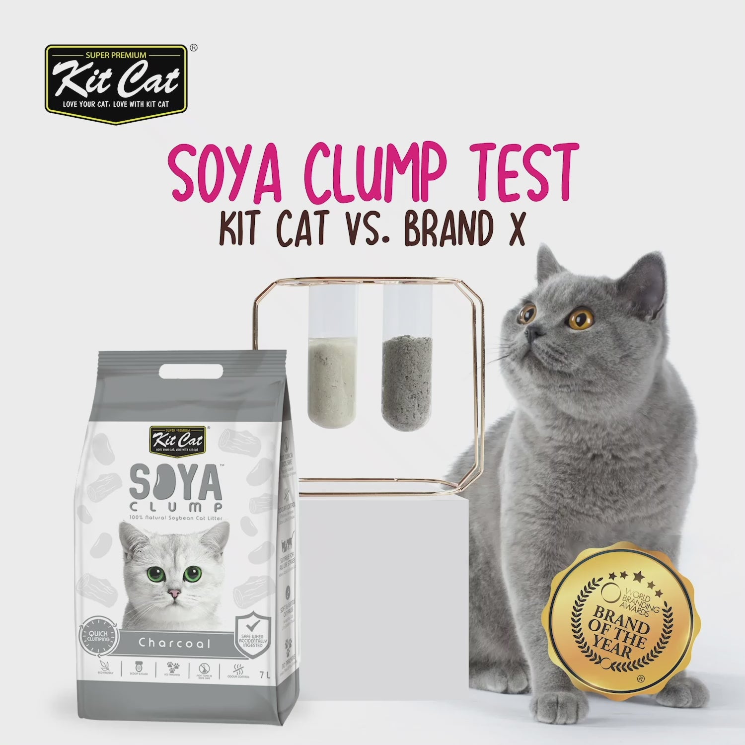Zestaw Cat Arena Eco SoyaClump - Charcoal 7 l Żwirek dla kotów