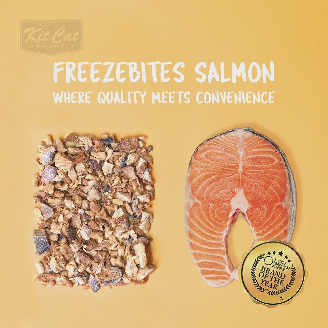 Zestaw Cat FreezeBites – łosoś 15 g Naturalna liofilizowana przekąska dla kotów
